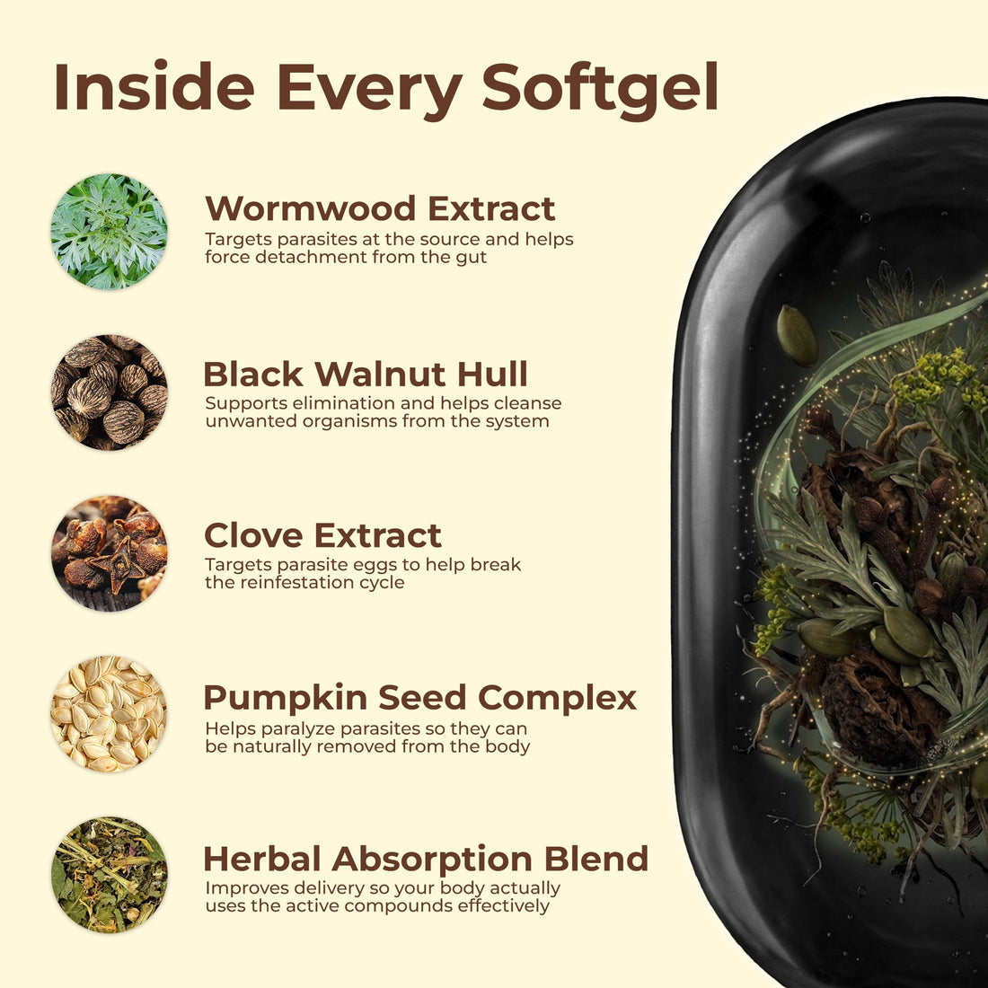 Arboroot Wormwood Black Walnut Cloves